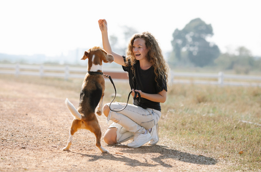 How to Train Your Dog: Simple Tricks for a Well-Behaved Pup