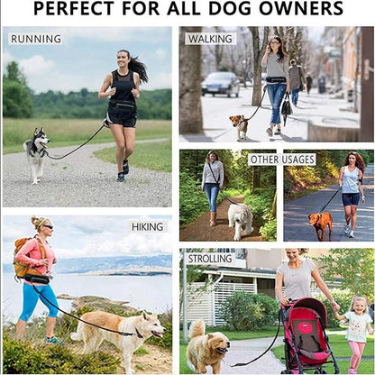 Hands Free, Shock Absorbing Leash for Walking and Running - Canine Companions