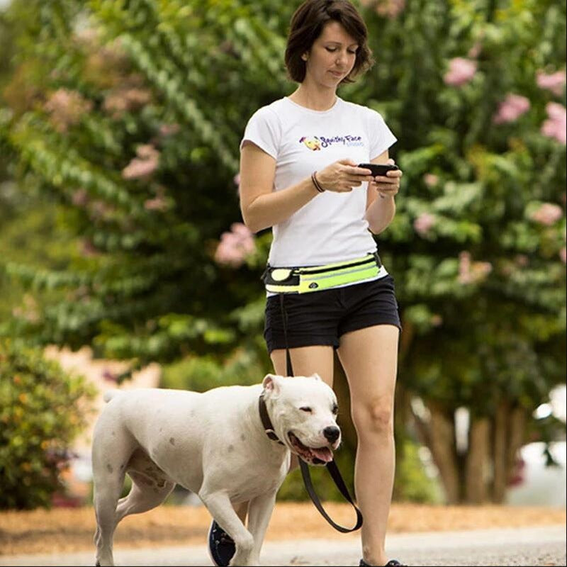 Hands Free, Shock Absorbing Leash for Walking and Running - Canine Companions