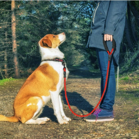 Reflective Safety Dog Leash with Cushioned Grip Handle - Canine Companions