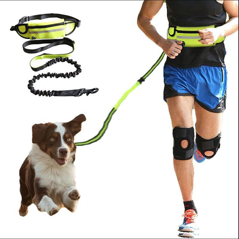 Hands Free, Shock Absorbing Leash for Walking and Running - Canine Companions