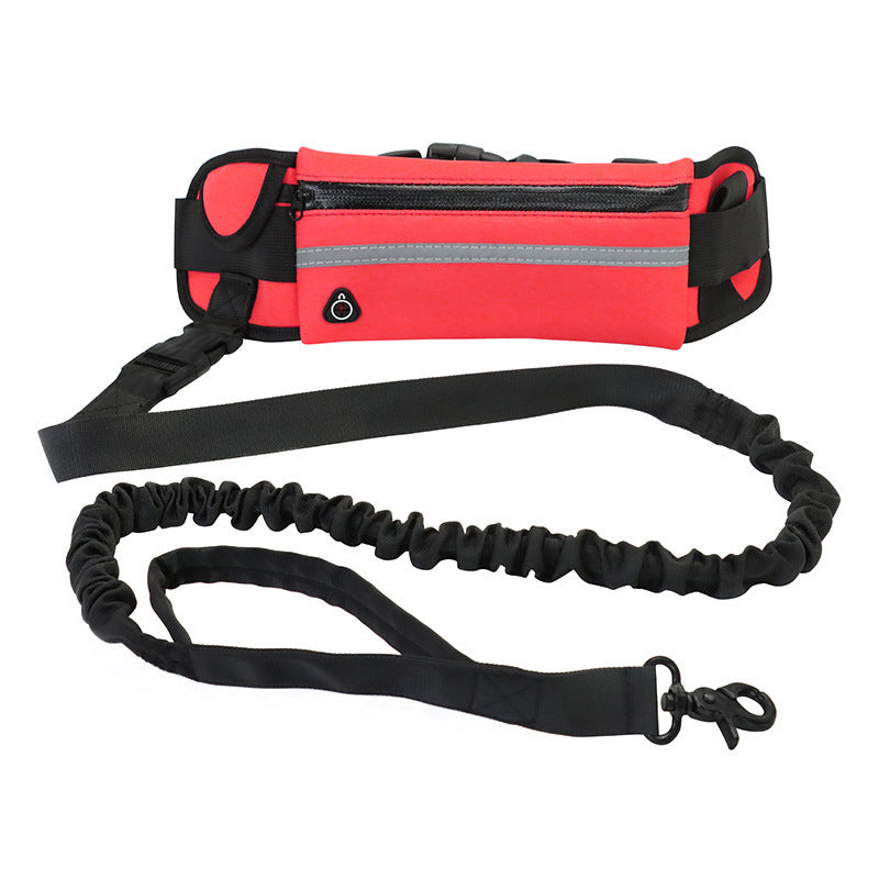 Hands Free, Shock Absorbing Leash for Walking and Running - Canine Companions